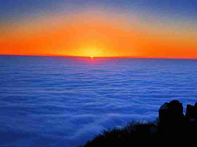 甘肃警察学院校花宋清禾