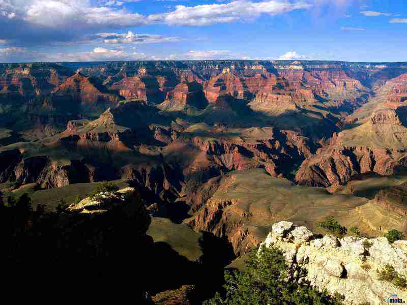 湖南高速铁路职业技术学院校花蒋星遥