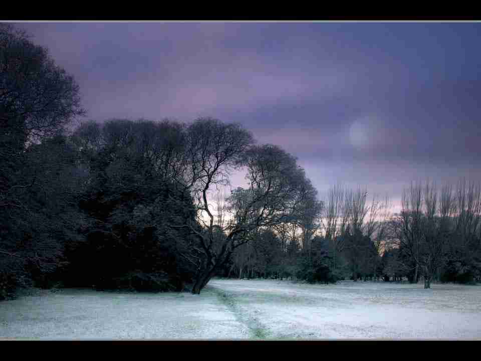 南京机电职业技术学院校花金书珩