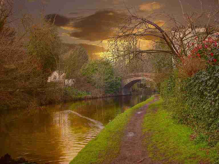 上海师范大学天华学院校花樊乐瑶