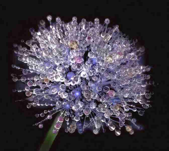 河北正定师范高等专科学校校花程乐瑶